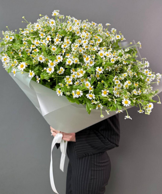 Nordic White